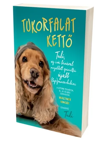 Expressz kézbesítés Tukorfalat Kettő