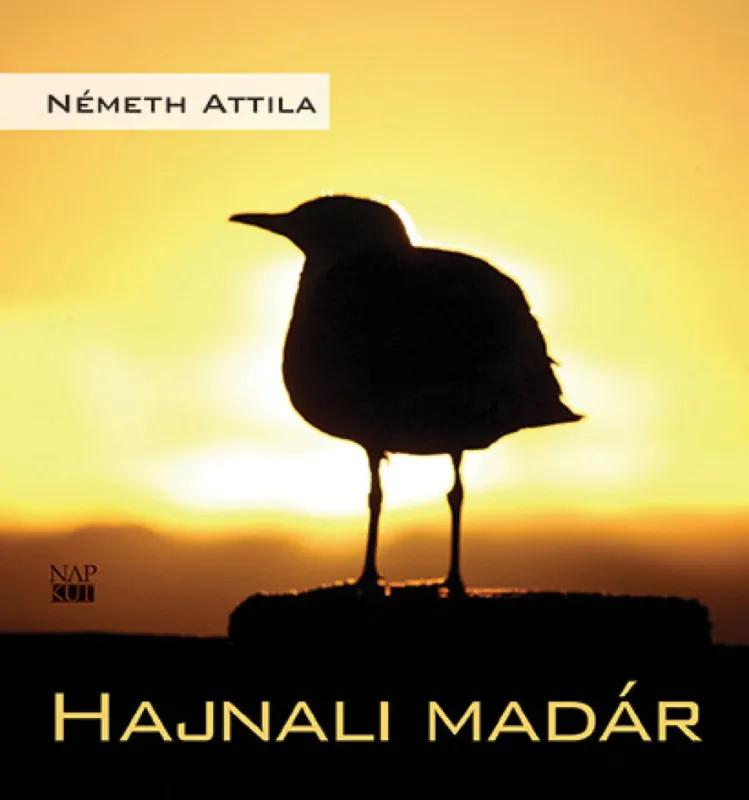 Hajnali madár Gyors szállítás