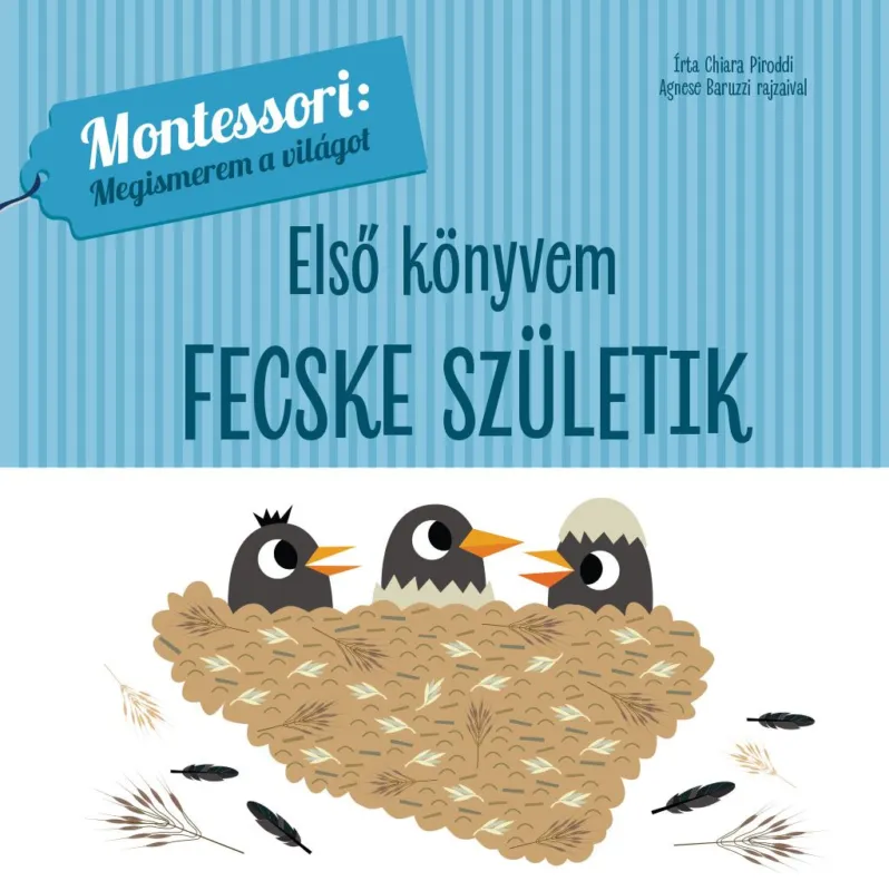 Utolsó esély Első könyvem - Fecske születik - Montessori: Megismerem a világot