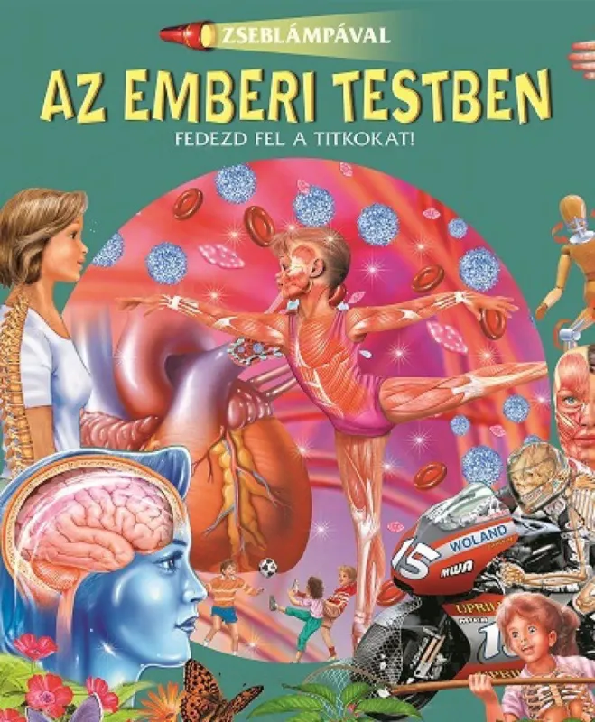 Zseblámpával - Az emberi testben Szezonális akció