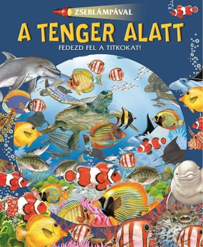 Zseblámpával - A tenger alatt Népszerű