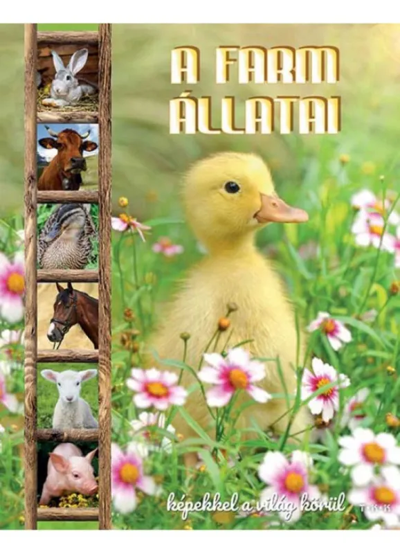 Farm állatai - Képekkel a világ körül Korlátozott ajánlat