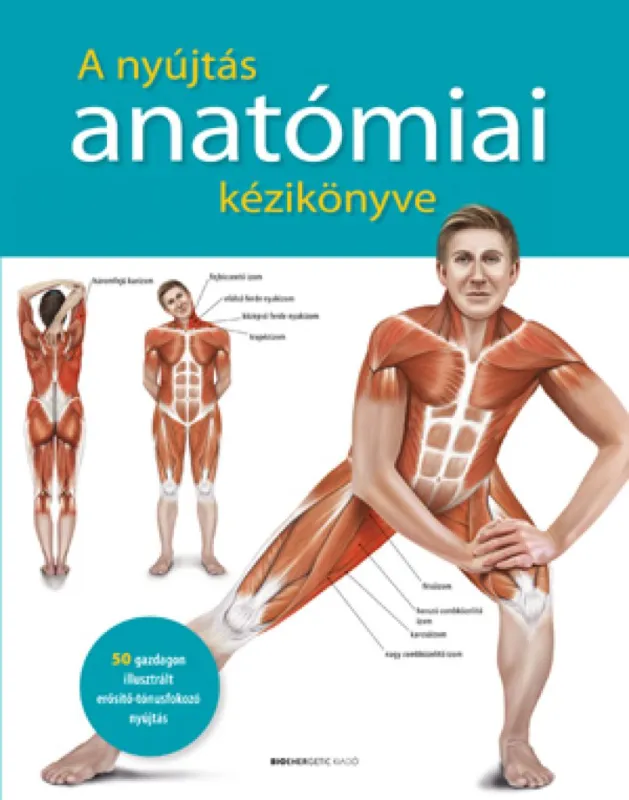 A nyújtás anatómiai kézikönyve - 50 gazdagon illusztrált erősítő-tónusfokozó nyújtás Ajánlat