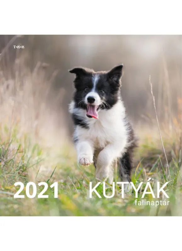 Kutyák falinaptár - 2021 Akciós ár