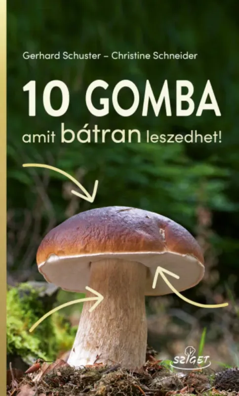 10 gomba amit bátran leszedhet! Legnépszerűbb