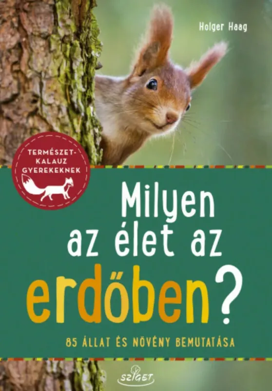 Rendeld meg most Milyen az élet az erdőben? - 85 állat és növény bemutatása - Természetkalauz gyerekeknek
