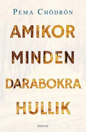 Outlet Amikor minden darabokra hullik