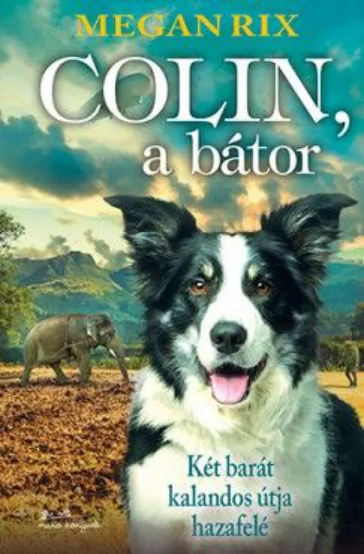 Legkelendőbb Colin, a bátor