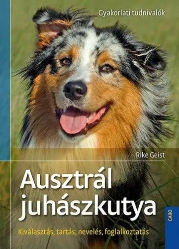 Szuper ajánlat Ausztrál juhászkutya