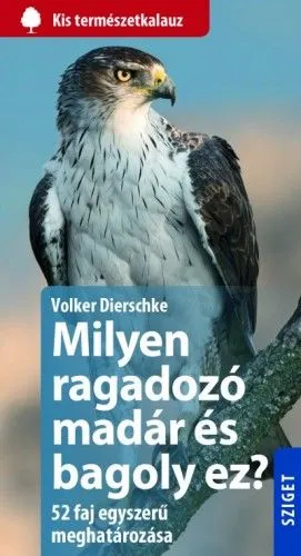 Milyen ragadozó madár és bagoly ez? Kedvezmény