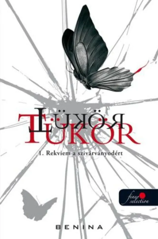 Tükör 1. - Rekviem a szivárványodért Csak ma