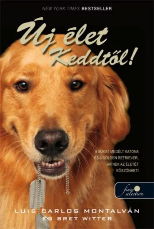 Kiárusítás Új élet Keddtől