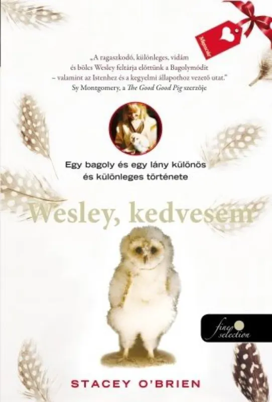 Wesley, kedvesem - Egy bagoly és egy lány különös és különleges története Alacsony ár