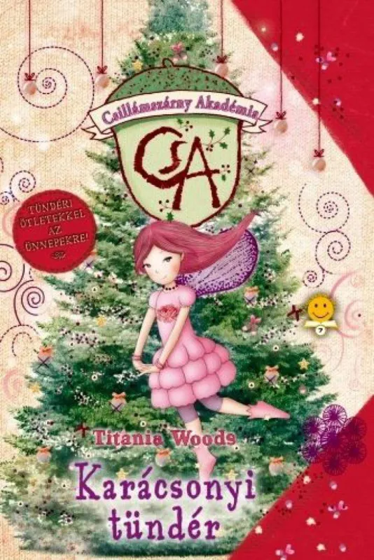 Csillámszárny Akadémia - Karácsonyi tündér - Csillámszárny Akadémia 4. Utolsó esély