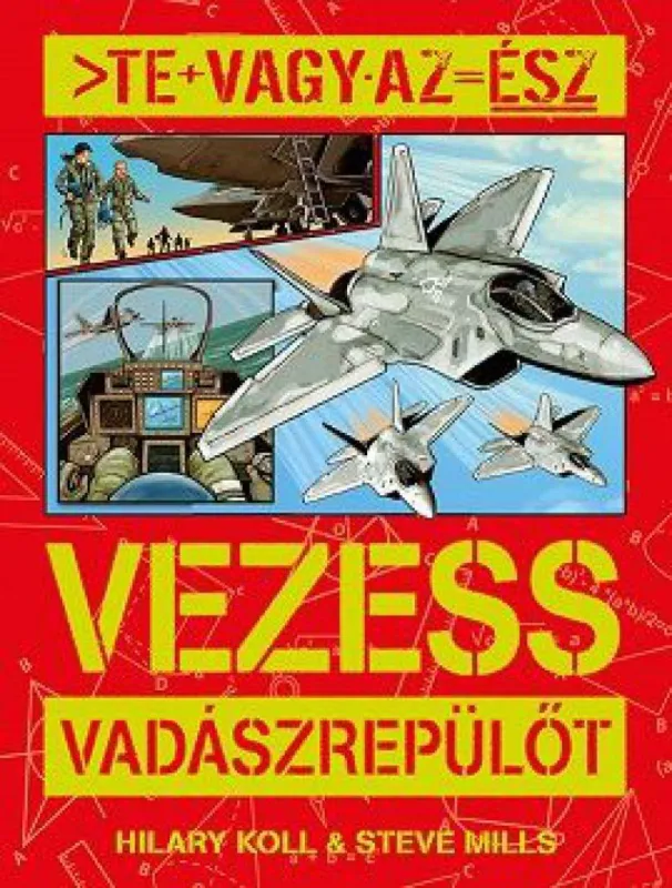 Expressz kézbesítés Te vagy az ész - Vezess vadászrepülőt