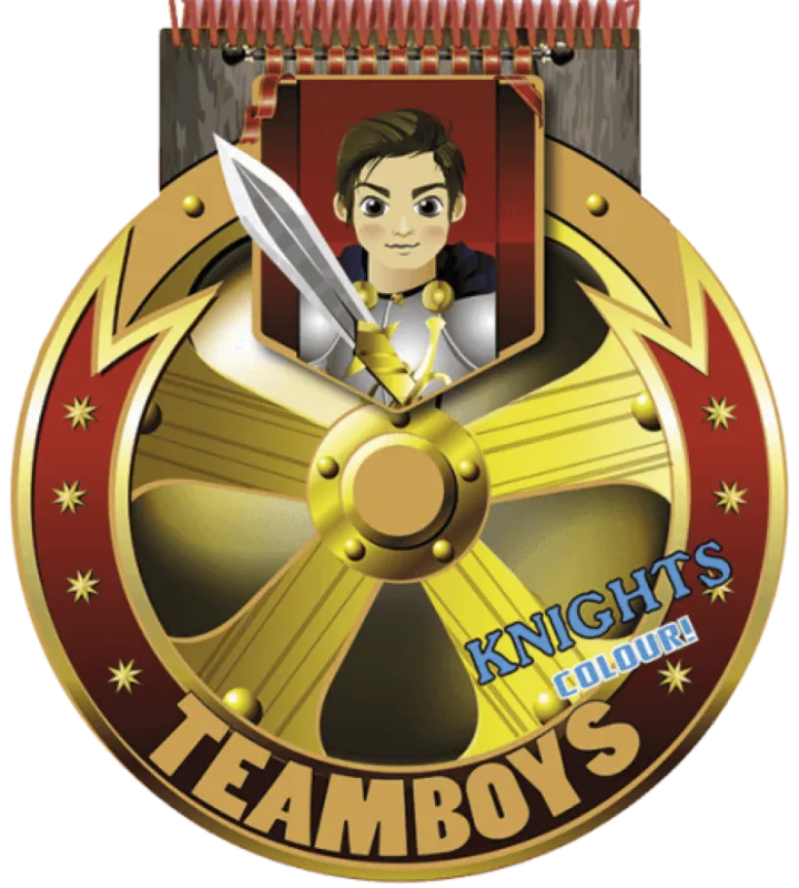Kiárusítás TeamBoys Stencil - Knights