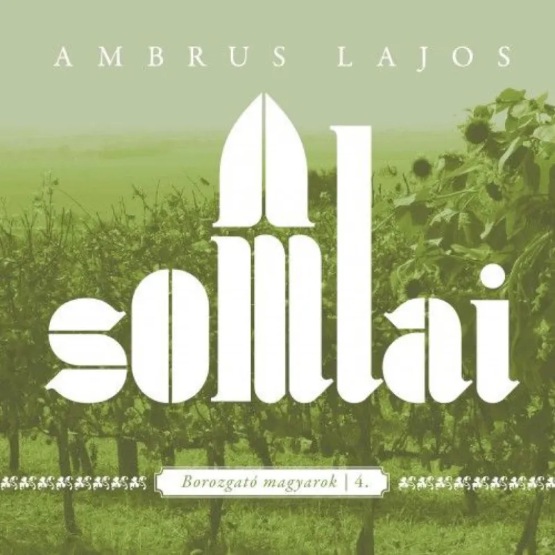 A somlai Outlet
