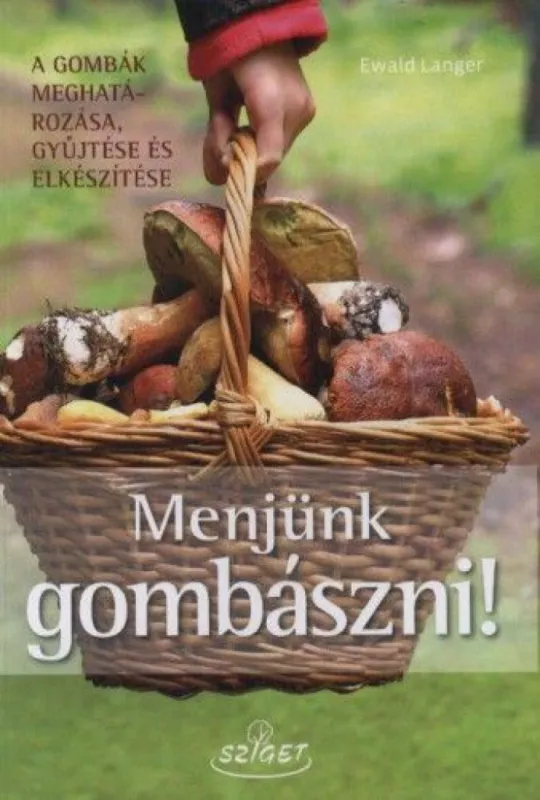 Népszerű Menjünk gombászni!