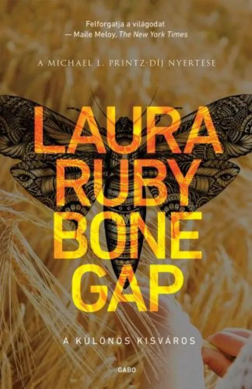 Outlet Bone Gap