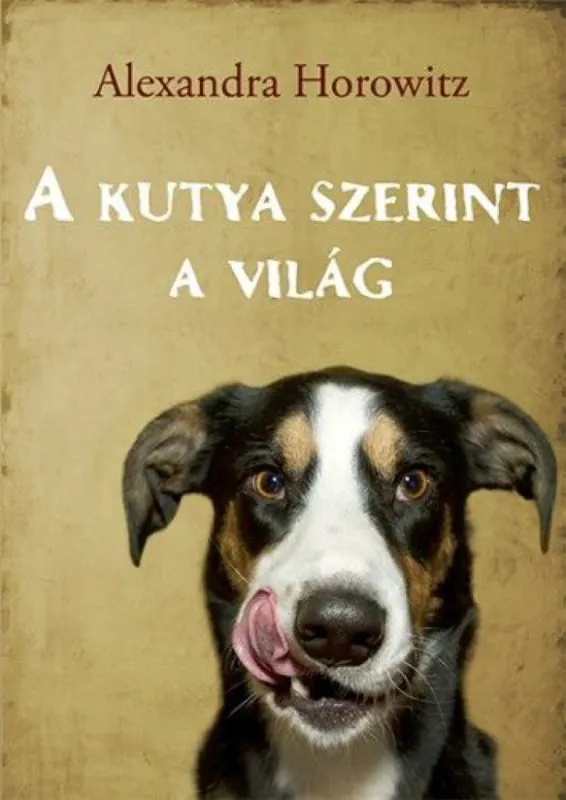 A kutya szerint a világ Alacsony ár