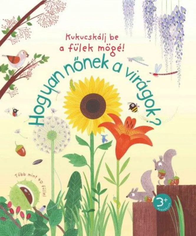Újdonság Hogyan nőnek a virágok?
