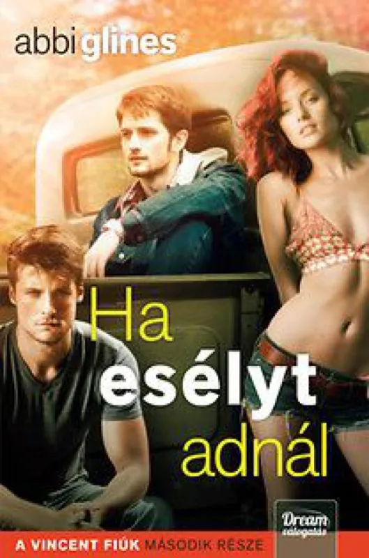 Prémium Ha esélyt adnál - A Vincent fiúk második része
