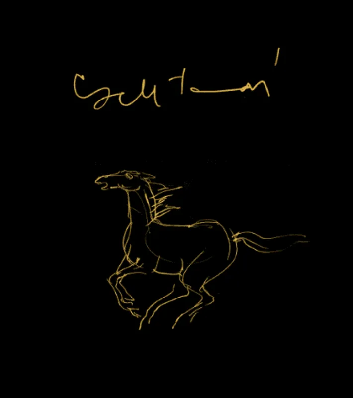 Cseh Tamás - Grafikák Azonnali szállítás
