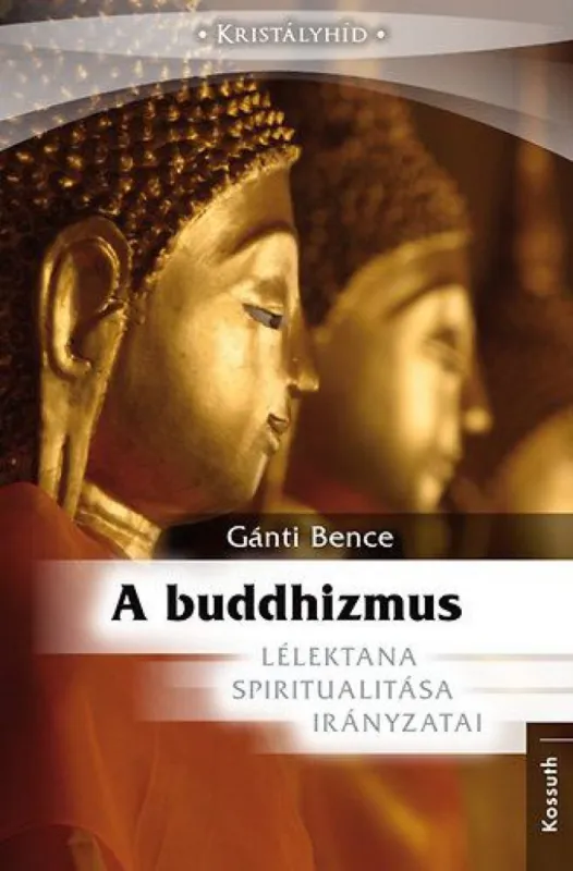 Rendeld meg most Buddhizmus - Lélektana, Spiritualitása, Irányzatai