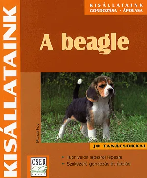 A beagle Kihagyhatatlan ajánlat