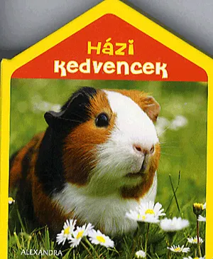 Házi kedvencek Gyors kiszállítás