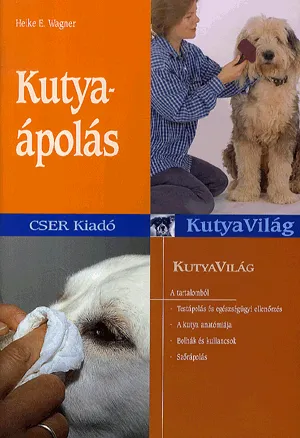 Kutyaápolás Különleges ajánlat