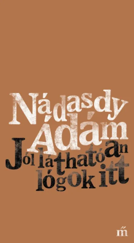 Jól láthatóan lógok itt Gyors szállítás