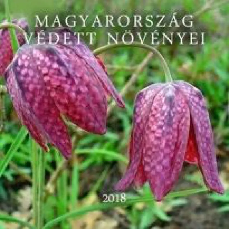 Magyarország védett növényei - Naptár 2018 Legkelendőbb