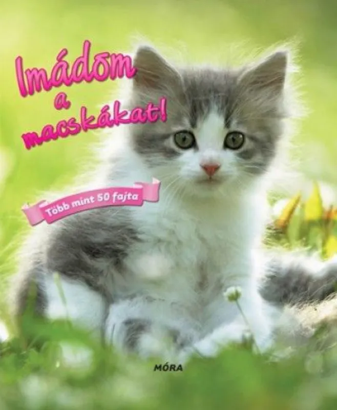 Imádom a macskákat! Kedvezményes ár