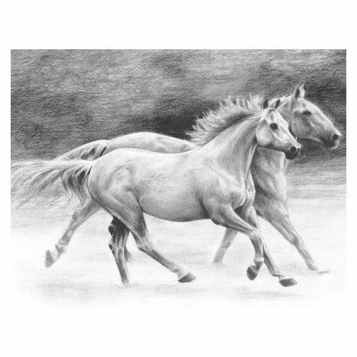 Graf. készlet, normál, 222,3x298,5mm - Vágtázó lovak Olcsó