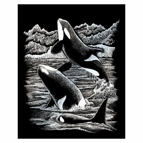 Kedvezmény Karckép, ezüst, 203x254mm - Kardszárnyú delfin