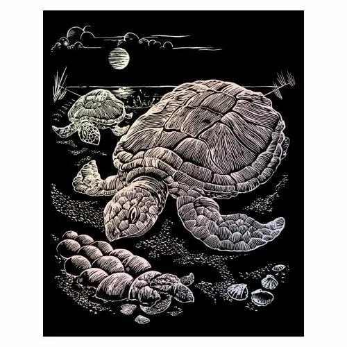 Karckép, holografikus, 203x254mm - Teknősbéka Alacsony ár