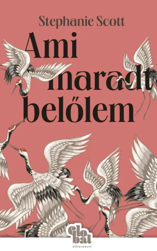Azonnali szállítás Ami maradt belőlem