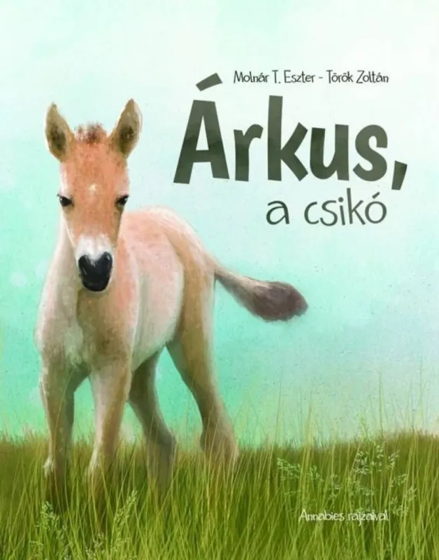Akciós ár Árkus, a csikó