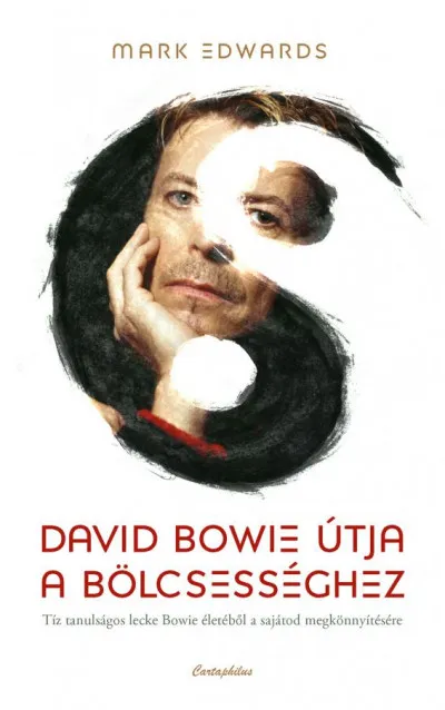 Kedvezményes ár David Bowie útja a bölcsességhez - Tíz tanulságos lecke Bowie életéből a sajátod megkönnyítésére
