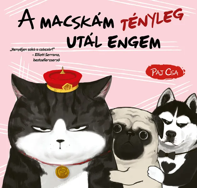 A macskám tényleg utál engem (Macska és Kutya 2.) Akció