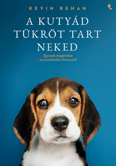 A kutyád tükröt tart neked - Egymás megértése az érzelmeken keresztül Gyors kiszállítás