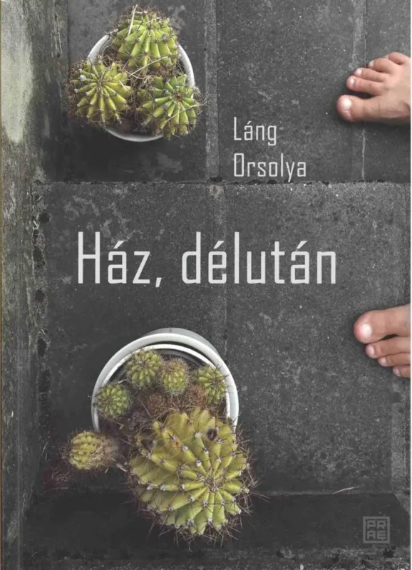 Ház, délután Akciós ár