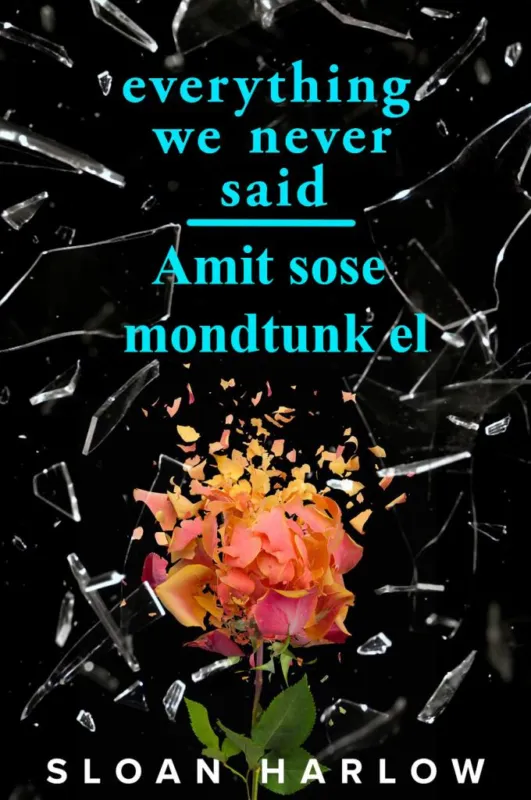 Everything We Never Said - Amit sose mondtunk el Gyors szállítás