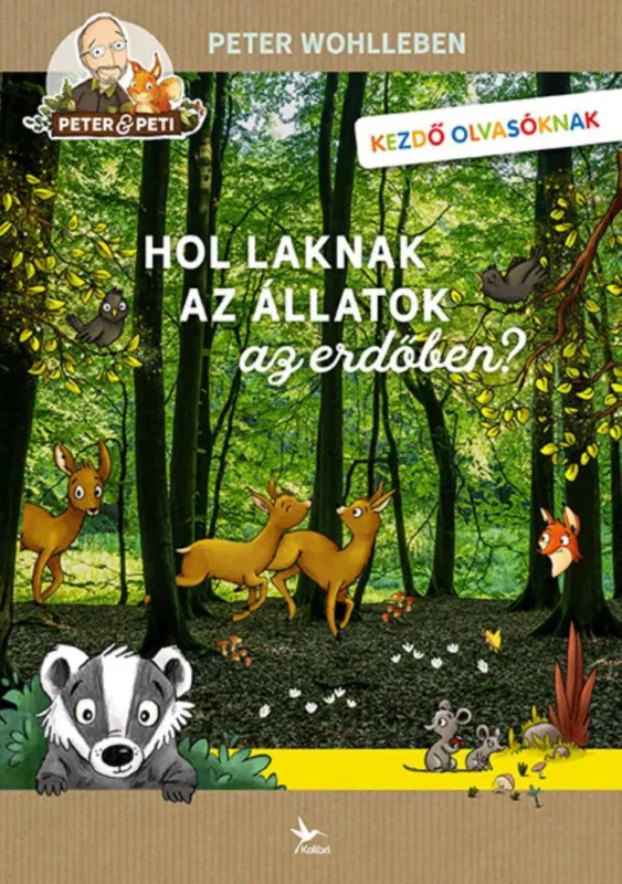 Ajánlat Hol laknak az állatok az erdőben?