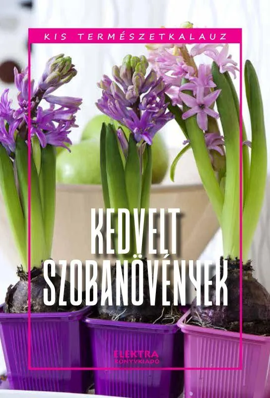 Expressz szállítás Kedvelt szobanövények