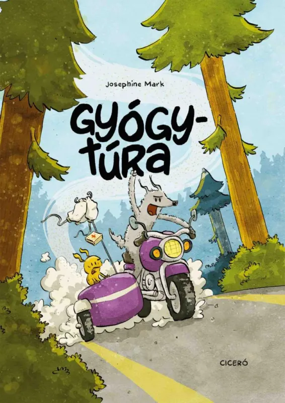 Különleges ajánlat Gyógytúra