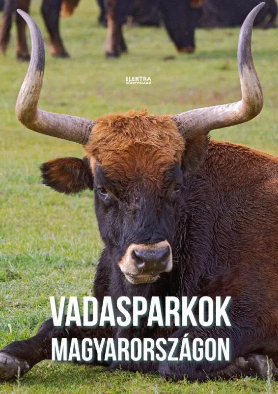Vadasparkok Magyarországon Gyors szállítás