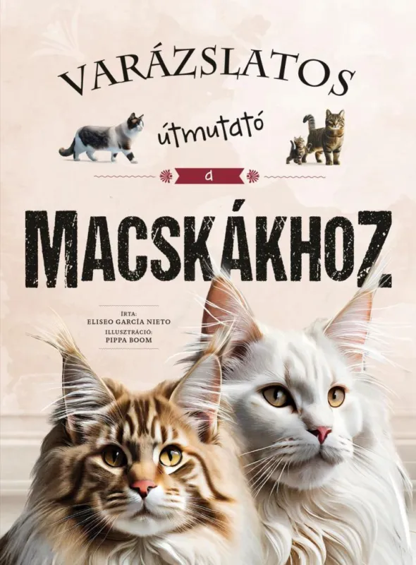 Varázslatos útmutató a macskákhoz Újdonság