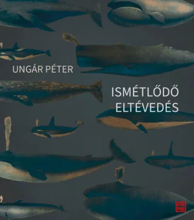 Ismétlődő eltévedés Kedvezményes ár